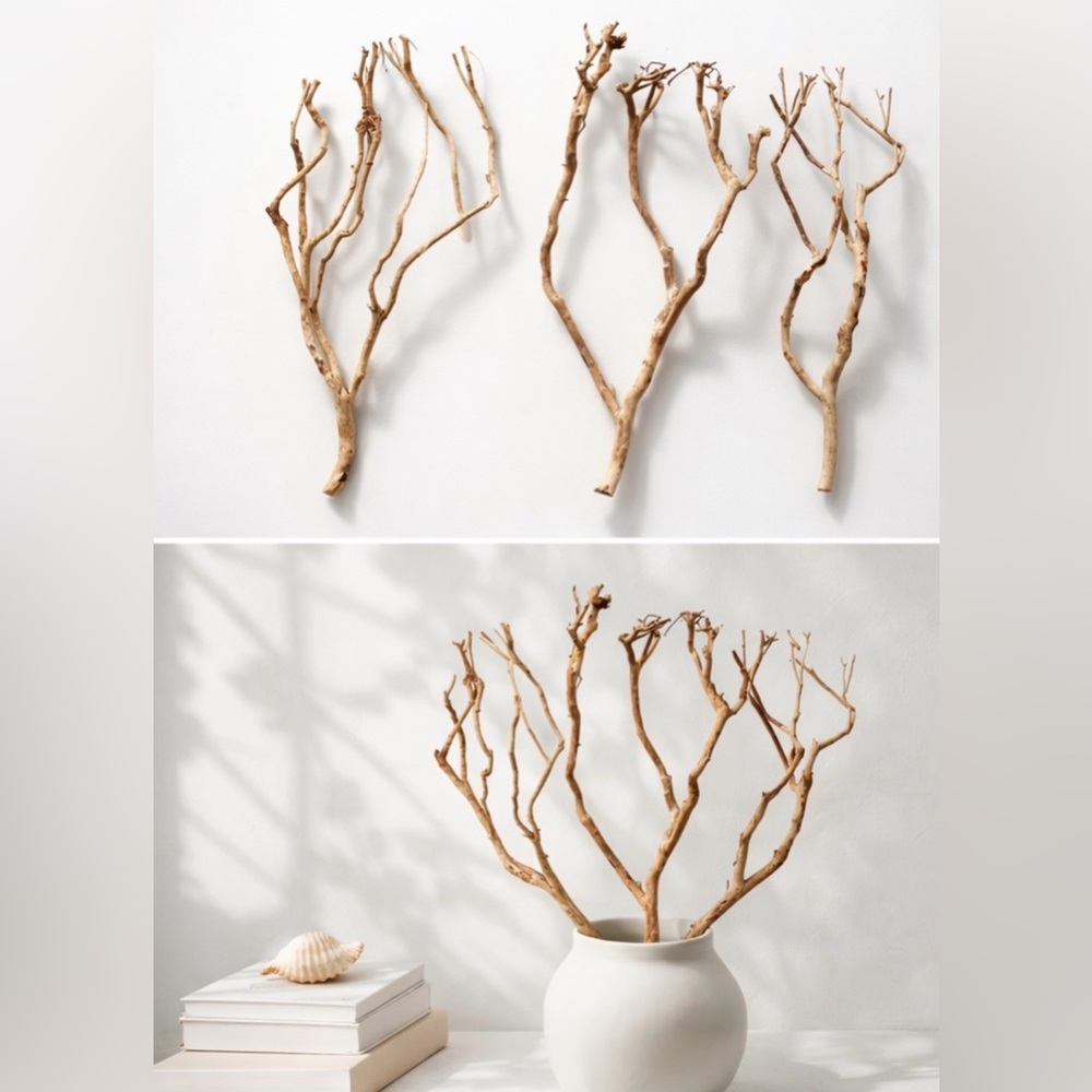 Set of 12 Natural Tea Tree Branches – Large Sculptural Dried Wood Stems 27”